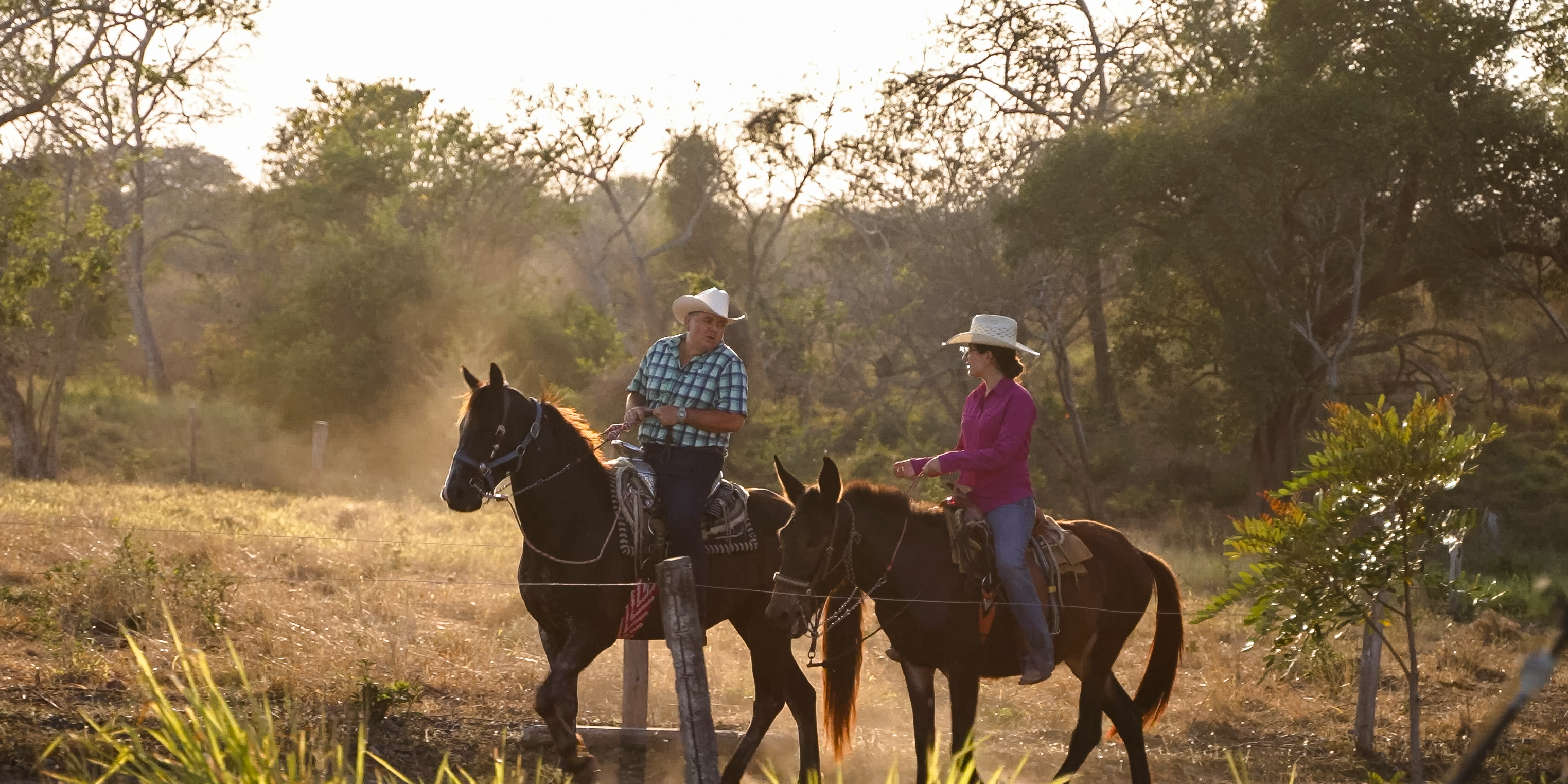 GCF is partnering with FMCN, a Direct Access Entity in Mexico, to reduce climate vulnerabilities in the Ameca-Mascota (Jalisco) and Antigua-Jamapa (veracruz) watersheds through nature-based solutions such as sustainable agroforestry and sustainable livestock operations. Photo credit: GCF/Little Big Films