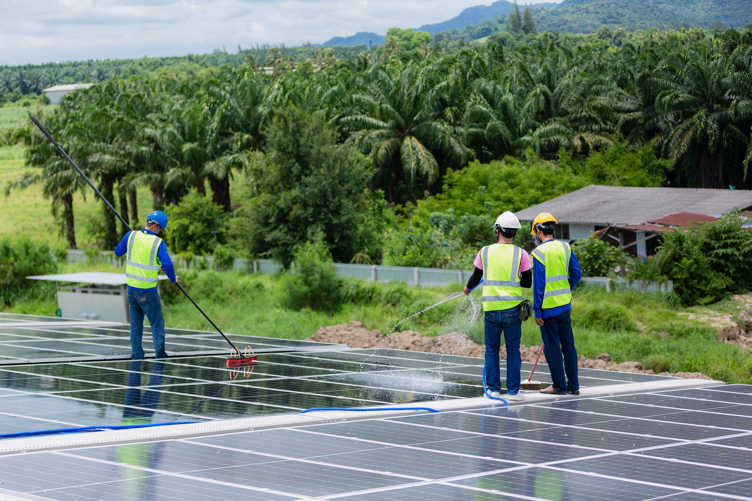 Three workers in safety gear cleaning rows of solar panels surrounded by palm trees.