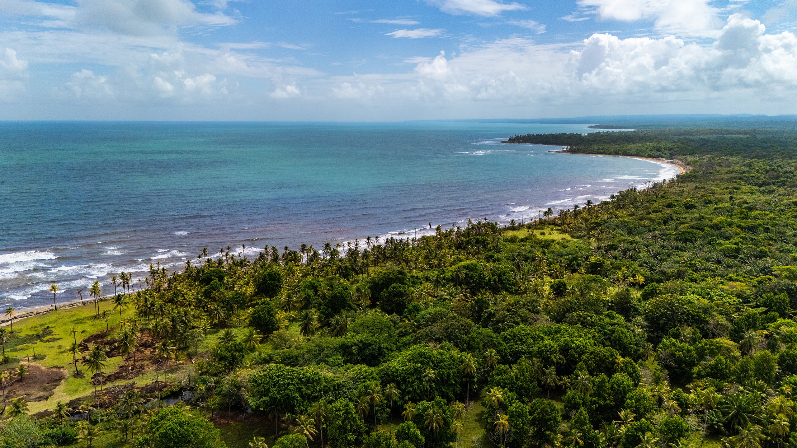 Aerial view of a lush tropical coastline with palm trees, turquoise ocean and a curving sandy beach, Panama.