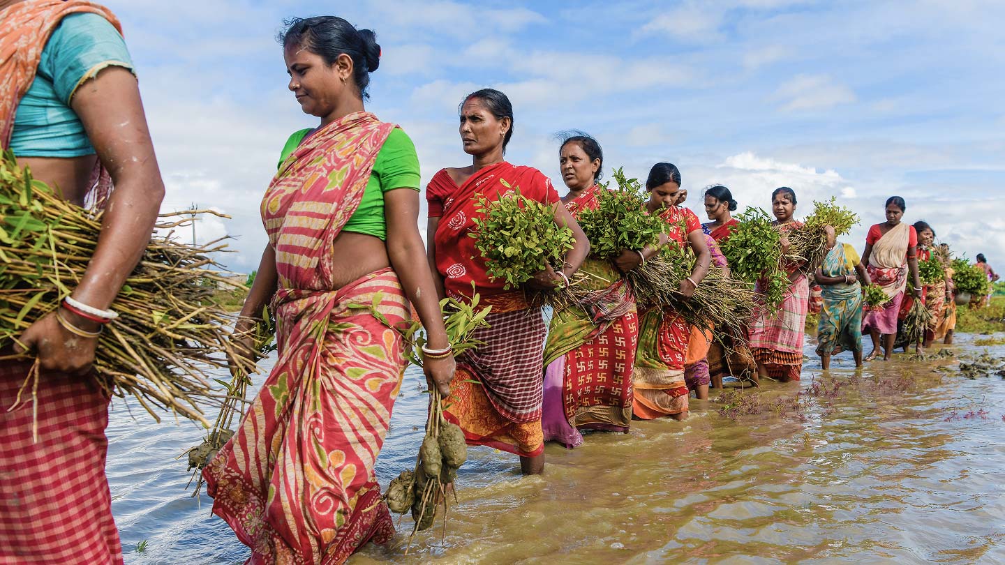 Credit:  Avijit Ghosh / Climate Visuals