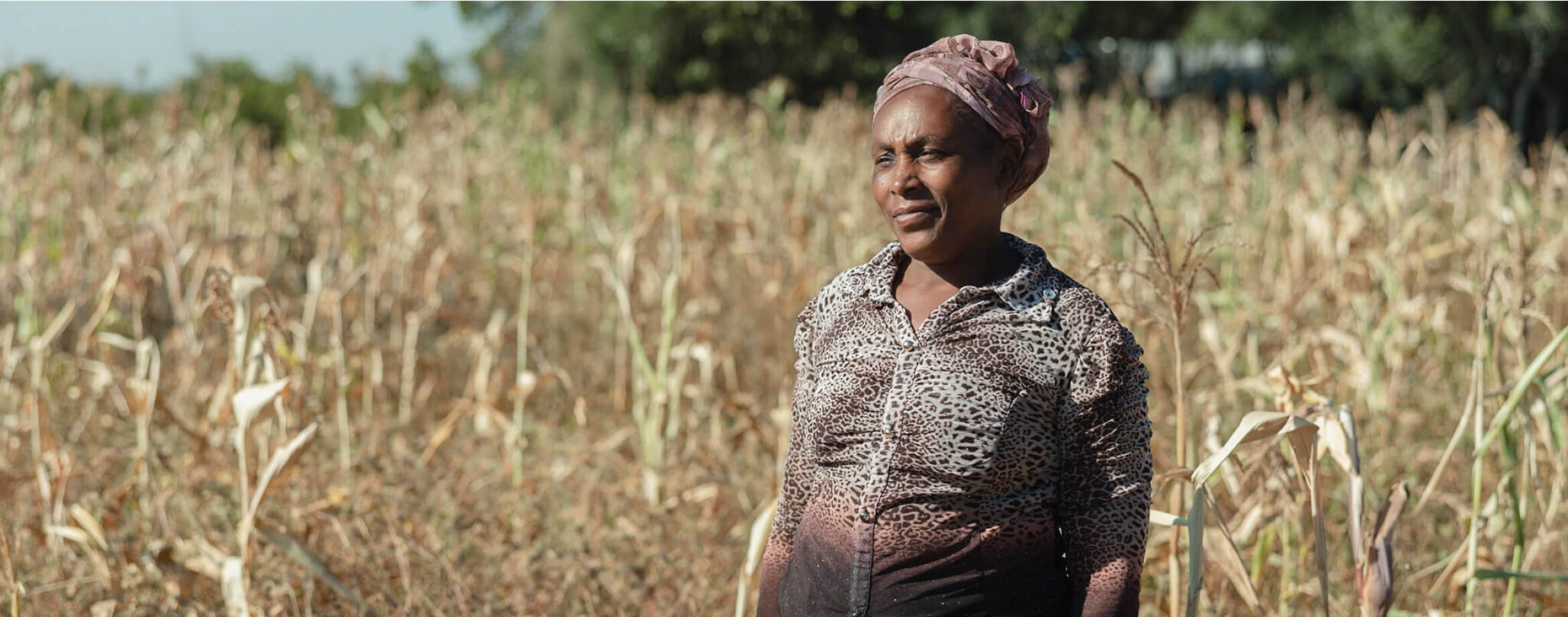 Louise Wangui, a smallholder farmer in Kenya uses solar energy to power her farm's irrigation pumps. Photo: Cesar Lopez Balan/GCF