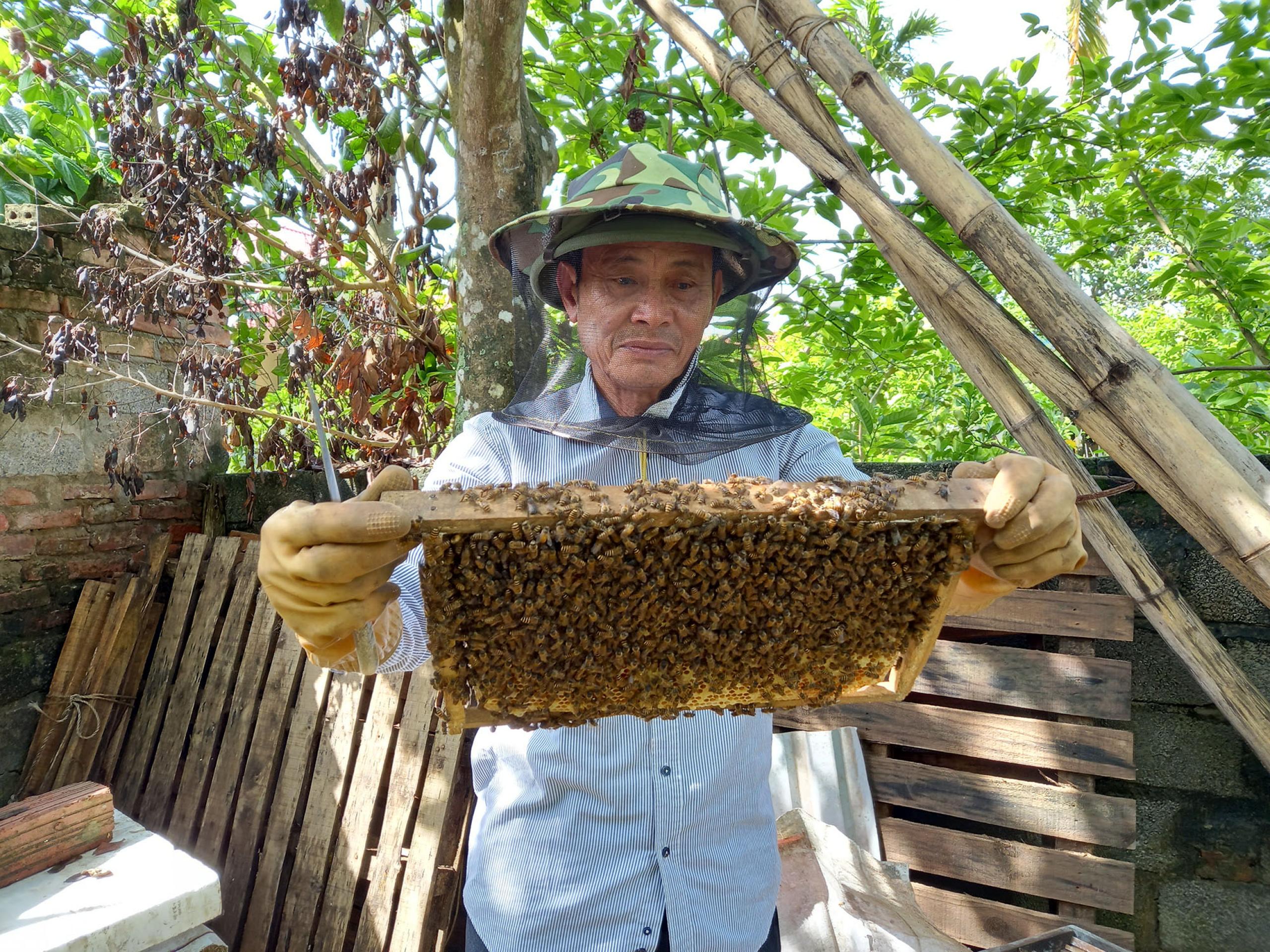 I. The Importance of Beekeeping in Carbon Sequestration
