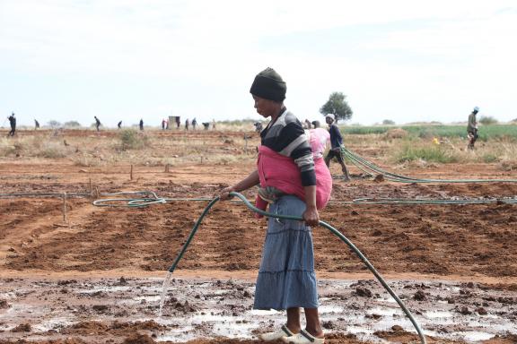 Banele Ncube, 37, has been caring for their three children alone. Like Elizabeth, whose land is opposite, she depends on the new irrigation scheme. Photo: UNDP/Pylaia Chembe