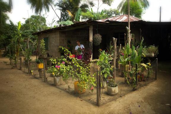 Through the food gardens, each family guarantees the largest possible number of plant species/varieties on their land (at least 80), providing resilience when there is both too much or too little water. Photo: Andrés Estefan/UNDP Colombia