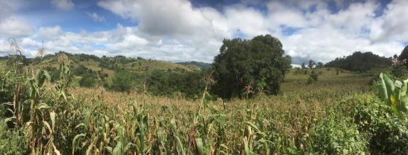The project focuses on reducing the impact of climate change on the hydrological cycle of the basins of the Guatemalan highlands. Photo: UICN