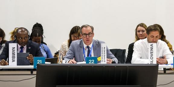 Announcement of Sweden’s pledge to GCF by Swedish State Secretary Hakan Jevrell at COP29. Photo: Ministry of International Development Cooperation and Foreign Trade, Sweden