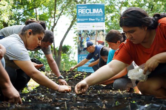 Ecosystem restoration and sustainable land management have enormous potential for climate action FAO/Fundacion Campo