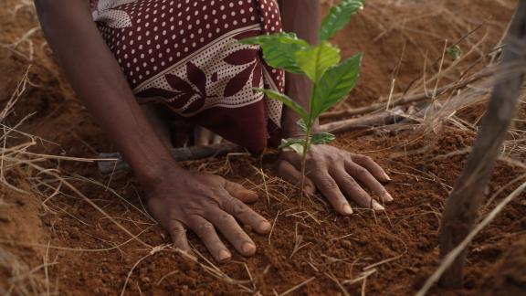 Ernestine Razafindravola, lead of the Soa Te Hivoatra women’s Association, works at an Agriculture Showcase farm, Androy Village, East Madagascar. Photo credit: GCF/Little Big Films