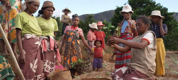 Women farmers, led by Ernestine Razafindravola (right), the head of the Soa Te Hivoatra Women’s Association, plant crops using adaptation techniques in Androy Village, East Madagascar. Photo credit: GCF/Little Big Films