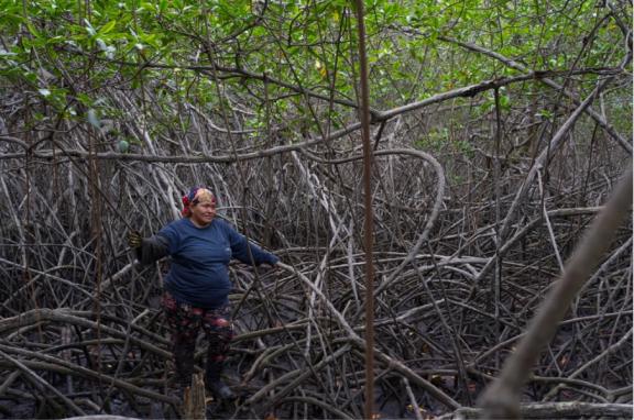 Neiva Carrascal takes a break from collecting crabs, which she does daily as a cangrejera, or crabber, May 10, 2022. Photo: Thomson Reuters Foundation/Kimberley Brown