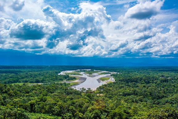 Ecuador's mega-diverse forests face growing pressure as cattle ranching expands into fragile ecosystems, threatening the extraordinary biodiversity they host. Photo credit: UNDP Ecuador