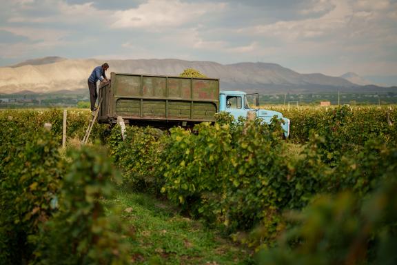 Hilly terrains in the mountainous regions of Vayots Dzor and the Ararat Valley, Armenia, 800-1600 meters above sea level. Photo: EBRD