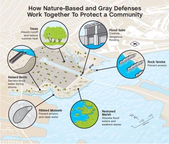 Credit: Nature Conservancy