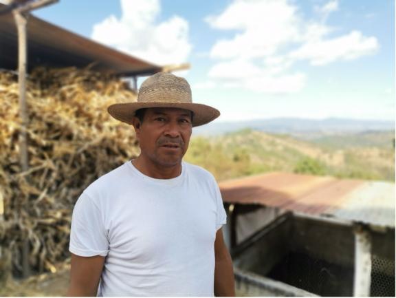 Demonstration plots for climate change adaptation combine water and soil management techniques, including rainwater harvesting, erosion control, and organic matter production, based on the area’s microclimatic conditions. Photo: Evelyn Vargas / IUCN