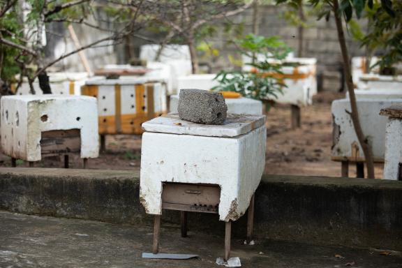 Photo by UNDP Viet Nam / Nguyen Viet Nghi