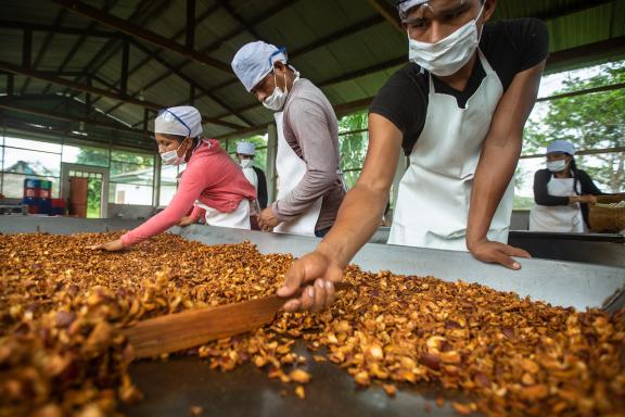 Photo: Profonanpe/Marlon del Aguila Guerrero Tarapoto